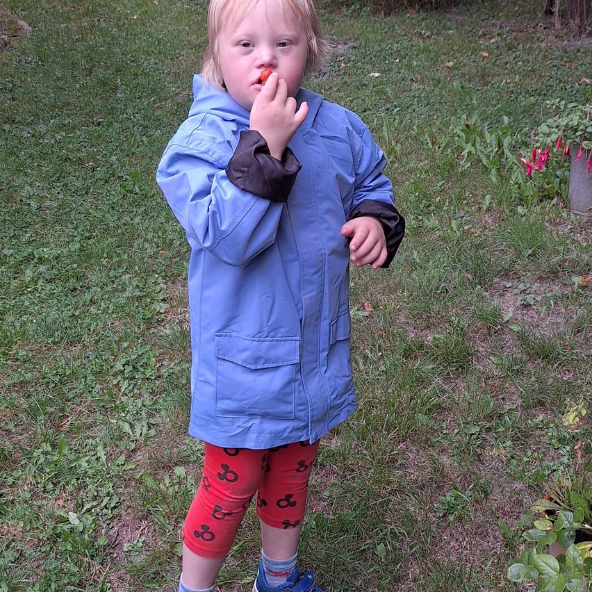 Ein Kleinkind in einem blauen Regenmantel und roten Hosen isst etwas im Freien. Es steht auf Gras.