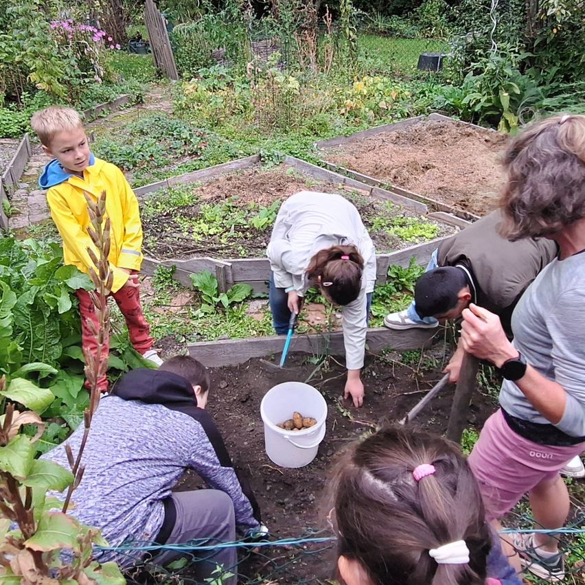 Eine Gruppe von Menschen gräbt in einem Garten. Einige graben im Boden, während andere Werkzeuge halten. Ein Junge in einem gelben Regenmantel beobachtet sie.