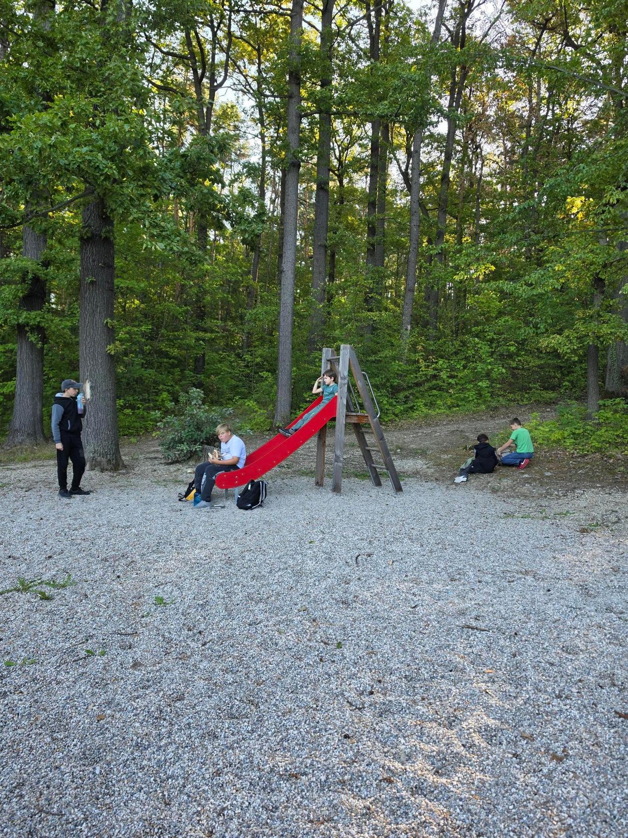 Eine Gruppe von Kindern spielt in einem Waldspielplatz. Ein Kind rutscht eine rote Rutsche hinunter, während ein anderes in der Nähe sitzt. Ein Mann steht in der Nähe und beobachtet.