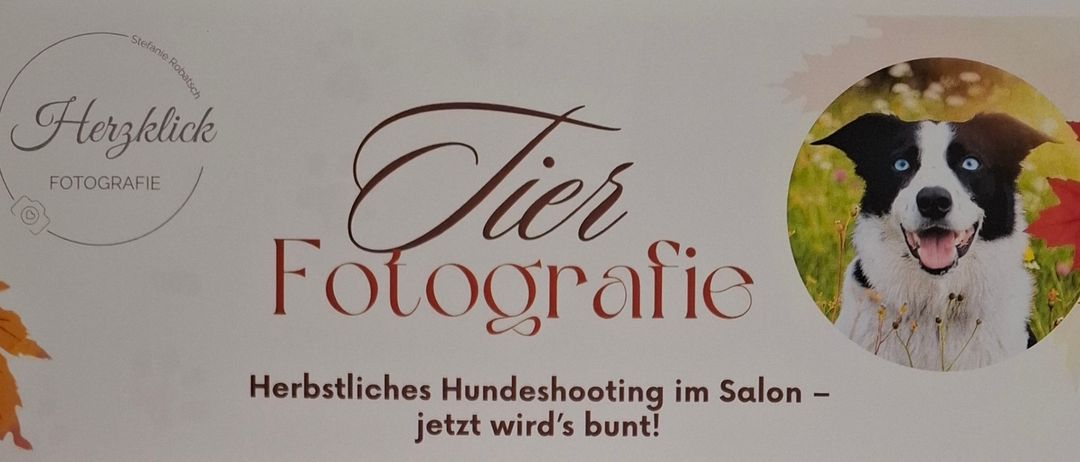 Ein Plakat für eine herbstliche Hundefotografie-Session. Es zeigt einen Hund und eine Frau, Datum, Ort, Kosten und die Details des Pakets. Das Paket beinhaltet fünf wunderschön bearbeitete digitale Bilder und ein gedrucktes Lieblingsbild. Die Session beginnt um 8:00 Uhr am 11. Oktober 2025 im PERRO Shop Villach.