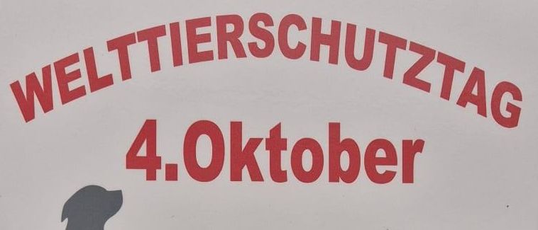 Werbeplakat für den Welttierschutztag am 4. Oktober. 20% Rabatt auf das gesamte lagernde PERRO Sortiment. Symbole von Hund und Katze.