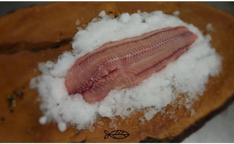 Bild enthält, Animal, Fish, Sea Life, Shark, Food