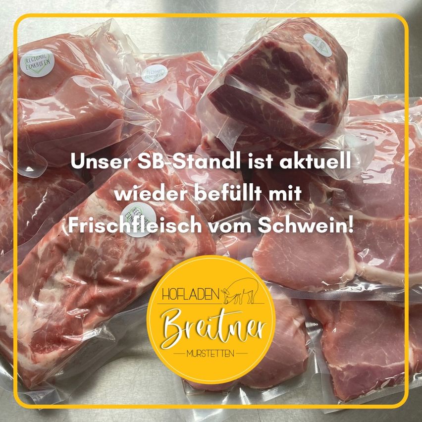 Verpackte Stücke frischen Schweinefleisches werden präsentiert. Der Text besagt: 'Unser SB-Stand ist aktuell wieder gefüllt mit Frischfleisch vom Schwein!' Ein gelber Kreis mit dem Logo Hofladen Breitner ist sichtbar.