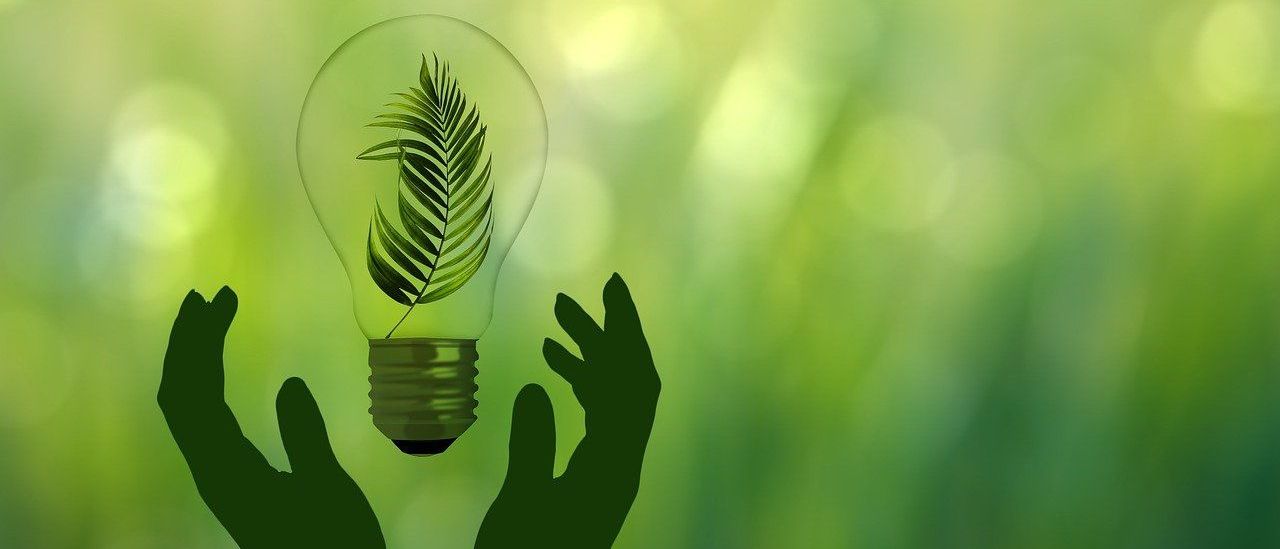 Bild enthält, Green, Light, Leaf, Plant, Person, Body Part, Finger, Hand