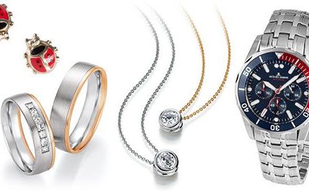 Eine Auswahl an Schmuck und Uhren auf weißem Hintergrund. Es enthält zwei Silberringe, zwei Halsketten, eine Marienkäferbrosche und eine silberne Uhr mit blauem Zifferblatt.