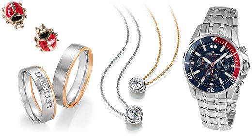 Eine Auswahl an Schmuck und Uhren auf weißem Hintergrund. Es enthält zwei Silberringe, zwei Halsketten, eine Marienkäferbrosche und eine silberne Uhr mit blauem Zifferblatt.