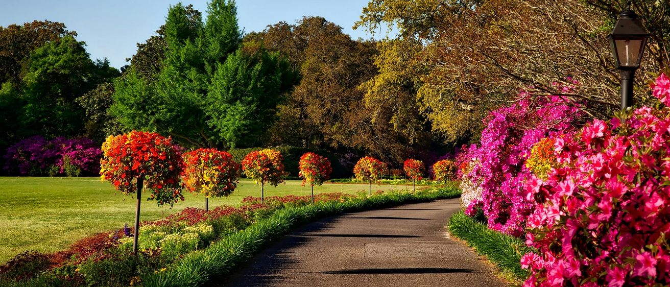 Bild enthält, Grass, Nature, Outdoors, Park, Scenery, Garden, Autumn, Tree, Road, Landscape