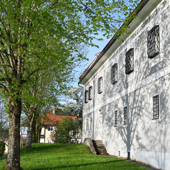 Bild enthält, Grass, Plant, Lawn, Tree, Tree Trunk, Architecture, Building, Campus, Monastery