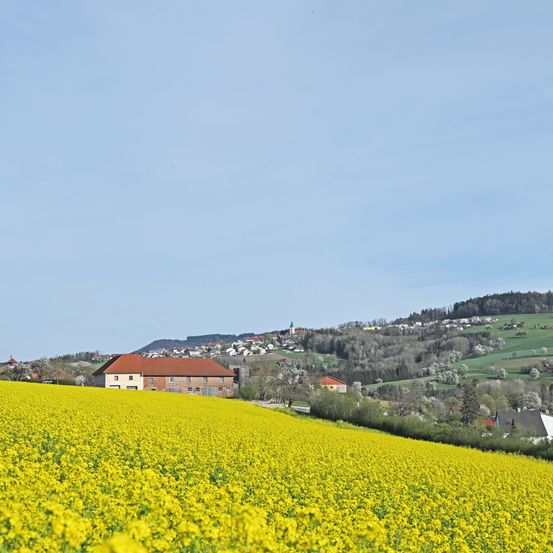 Bild enthält, Countryside, Field, Grassland, Meadow, Nature, Outdoors, Rural, Architecture, Building