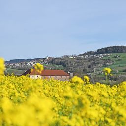 Bild enthält, Field, Grassland, Nature, Outdoors, Countryside, Meadow, Rural, Scenery, Pasture, Building