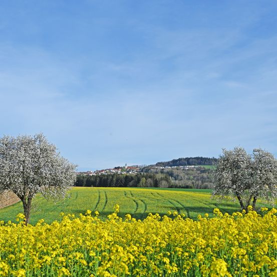 Bild enthält, Countryside, Field, Grassland, Meadow, Nature, Outdoors, Rural, Farm, Pasture, Scenery