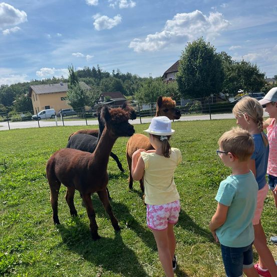 Bild enthält, Grass, Nature, Outdoors, Park, Person, Portrait, Shelter, Shorts, Boy, Child
