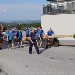 Bild enthält, Person, Adult, Male, Man, Wood, Wheel, Shorts, Road, Pants, Plywood