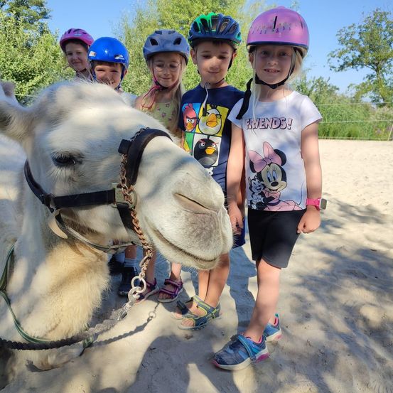 Bild enthält, Photography, Person, Portrait, Helmet, Hardhat, Shorts, Park, Soil, Vegetation, Child