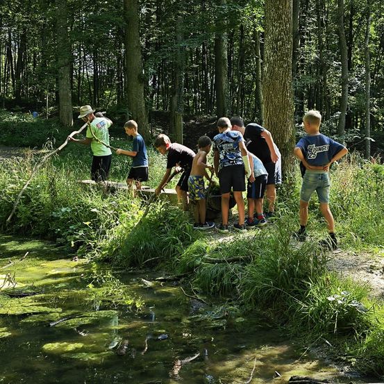 Bild enthält, Grove, Land, Tree, Vegetation, Woodland, Jungle, Wilderness, Hiking, Shorts, Grass