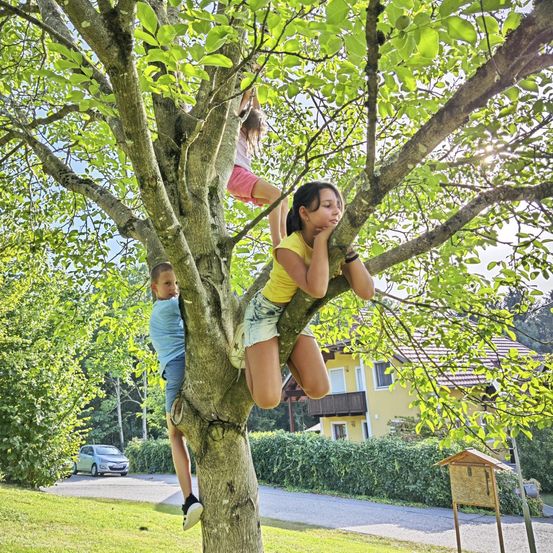 Bild enthält, Tree, Pants, Person, Portrait, Vegetation, Grass, Female, Girl, Teen, Park