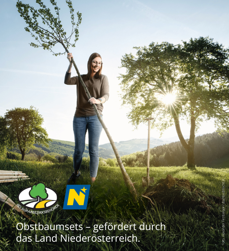 Eine Frau hält einen Ast in einem Feld. Sie lächelt und trägt eine Brille. Die Sonne scheint hell. In der Nähe befindet sich ein Baum mit einer Schaufel und Erde.