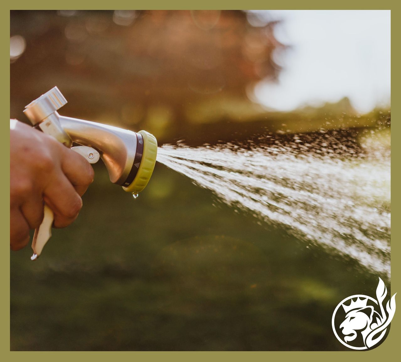 Eine Hand, die Wasser aus einem Gartenschlauchdüse im Freien sprüht, mit unscharfem Hintergrund.