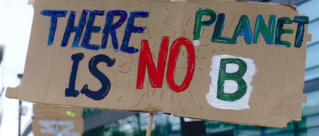 Ein Pappschild mit blauen, roten und grünen Buchstaben, auf dem 'THERE IS NO PLANET B' steht, wird von einem Demonstranten bei einer Kundgebung gehalten.