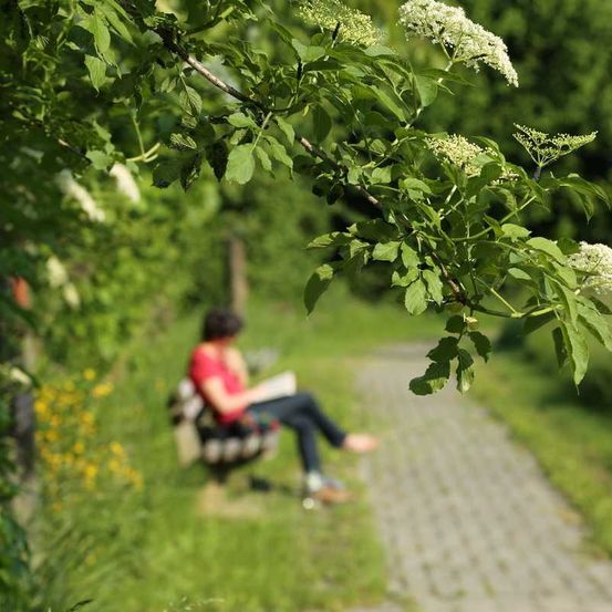 HdS-GartenderStille_IMG_8239_medres