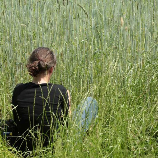 HdS-Stille_IMG_7231_medres