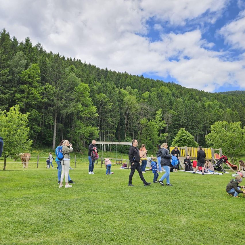 Eine Gruppe von Menschen genießt einen sonnigen Tag auf einer grasbewachsenen Wiese mit Bäumen und einem Wald im Hintergrund. Einige gehen, andere sitzen oder stehen in der Nähe eines Spielplatzes. Ein braunes Pferd grast in der Nähe.