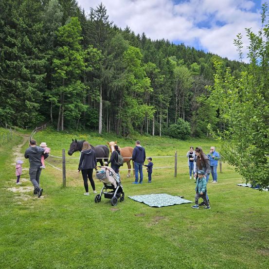 Eine Gruppe von Menschen geht mit Pferden auf einem Rasenfeld. Einige tragen Kinder, und andere stehen in der Nähe der Pferde. Eine Decke liegt auf dem Boden.