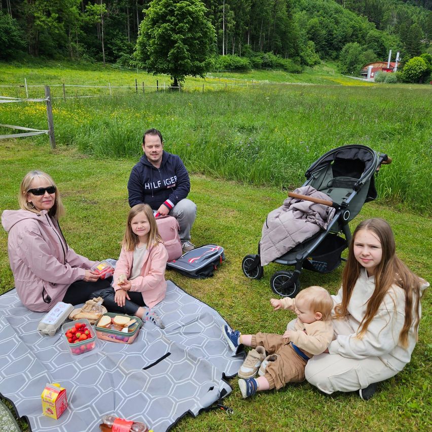 Eine Familie genießt ein Picknick auf einer Wiese. Eine Frau, zwei Mädchen und ein Mann sitzen auf einer Decke mit Essen und einem Kinderwagen in der Nähe.