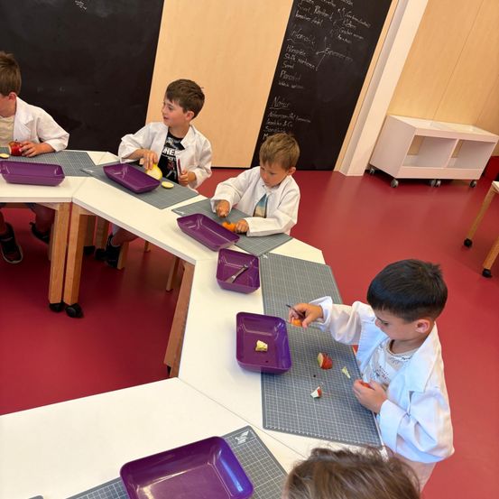 Fünf Jungen in weißen Laborkittel sitzen an einem Tisch und schneiden jeweils Äpfel auf violetten Tellern. Ein Schwarzer Brett ist im Hintergrund.