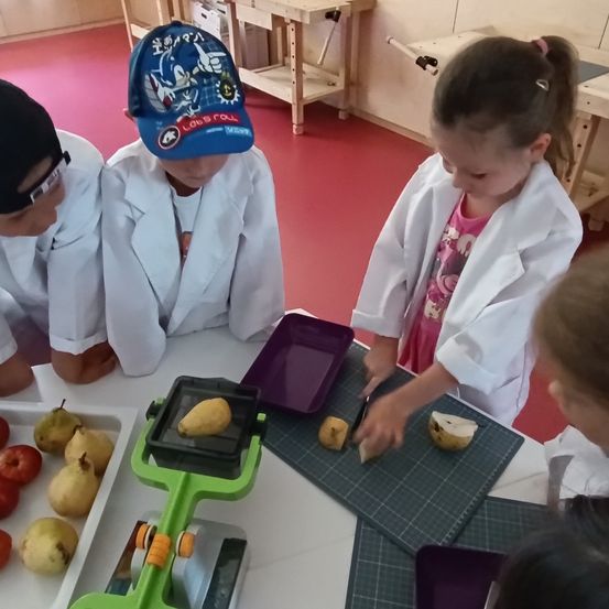 Vier Kinder in weißen Laborkittel schneiden Birnen auf einem Tisch. Ein grüner Apfelschneider steht auf dem Tisch.