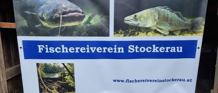 Ein Banner zeigt zwei Fische, einen Wels und einen anderen Fisch, mit einem blauen Rand. Es hat eine Website-Adresse unten.