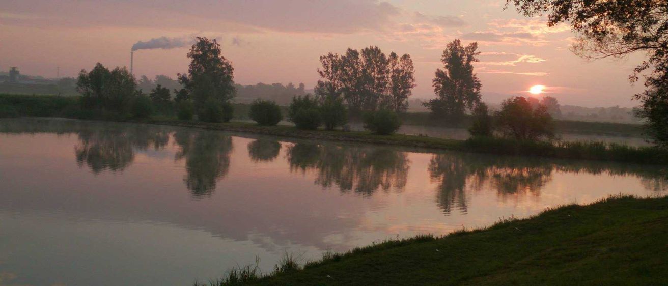 Bild enthält, Nature, Outdoors, Pond, Sky, Scenery, Grass, Landscape, Lake, Sunrise, Tree