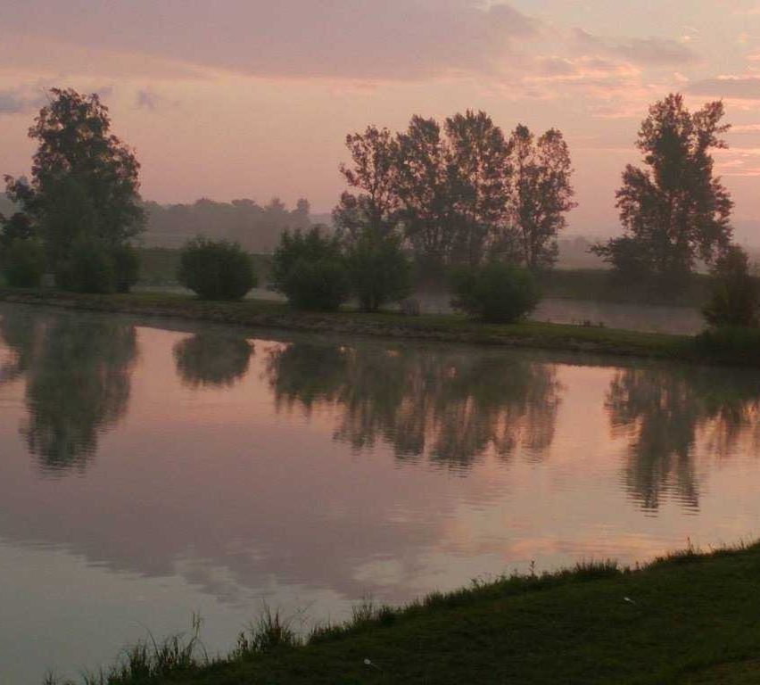 Bild enthält, Nature, Outdoors, Pond, Sky, Scenery, Grass, Landscape, Lake, Sunrise, Tree