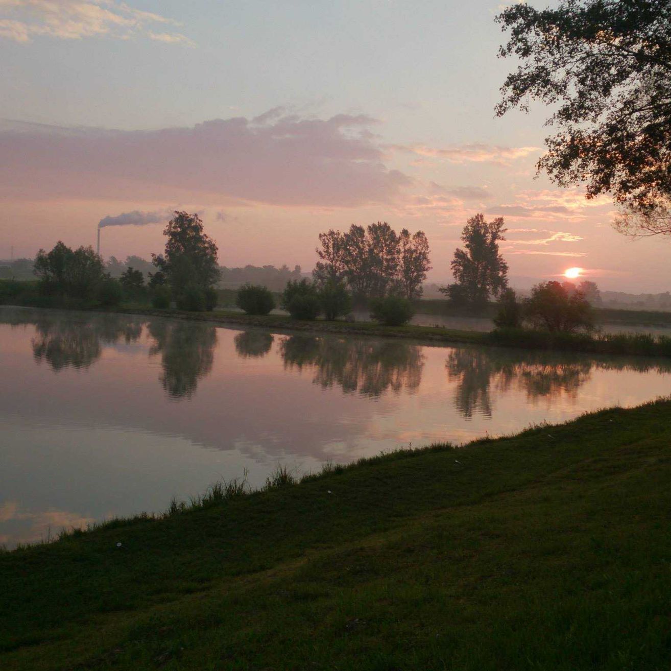 Bild enthält, Nature, Outdoors, Pond, Sky, Scenery, Grass, Landscape, Lake, Sunrise, Tree