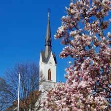 Dorfgemeinschaft Dietersdorf bei St. Peter a.O.-Logo
