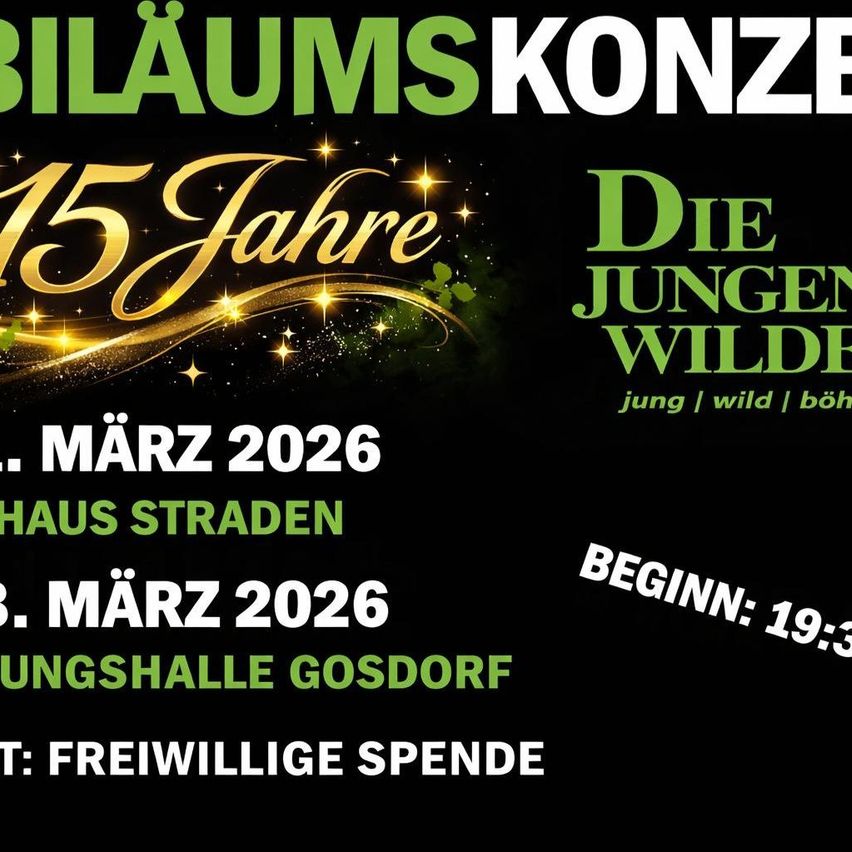 Anniversary concert for 15 years of Die Jungen Wilde. Event on March 2026 at Haus Straden. Starts at 19:30 in the youth hall Gosdorf. Voluntary donations accepted.
