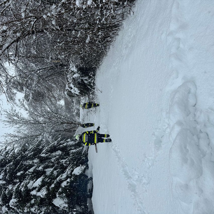 Zwei Feuerwehrleute in gelben und schwarzen Uniformen gehen auf einem verschneiten Hang, ausgestattet mit Skiern und Stöcken. Schneebedeckte Bäume säumen die Seiten.