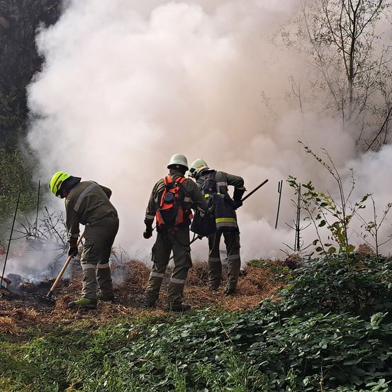 Drei Feuerwehrleute mit Schutzausrüstung arbeiten an einem Waldbrand. Sie sind von Rauch umgeben und benutzen Werkzeuge, um das Feuer zu löschen.