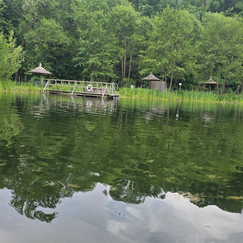 Ein ruhiger See mit einem Holzsteg und kleinen Hütten. Grünes Wasser reflektiert die üppigen Bäume und den Himmel.