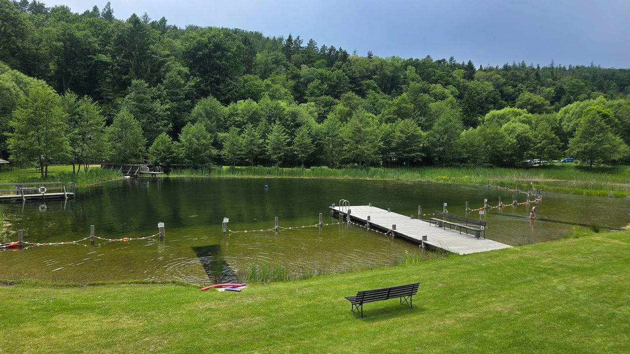 Ein ruhiger See, umgeben von üppiger Grünfläche. Ein Holzsteg erstreckt sich ins Wasser, mit einer Bank in der Nähe. Ein schwimmender Steg ist im See verankert.