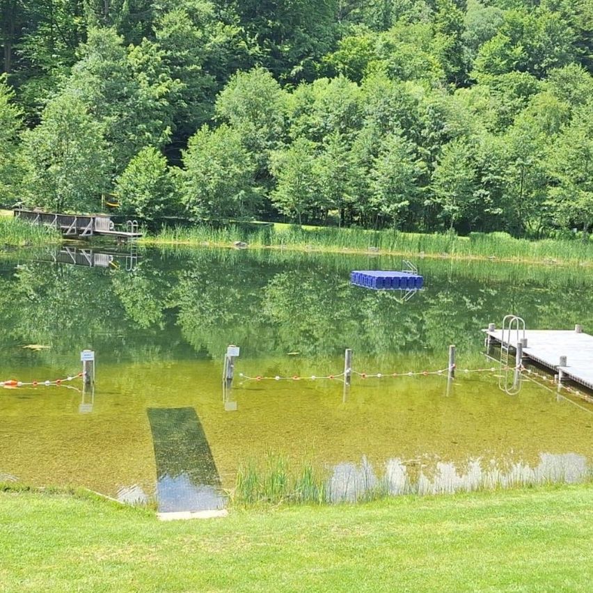 Ein ruhiger See mit grünem Wasser, umgeben von üppigem Baumbestand und Gras. Ein blauer Sprungturm befindet sich im Wasser. Ein Steg erstreckt sich mit einer Leiter ins Wasser.