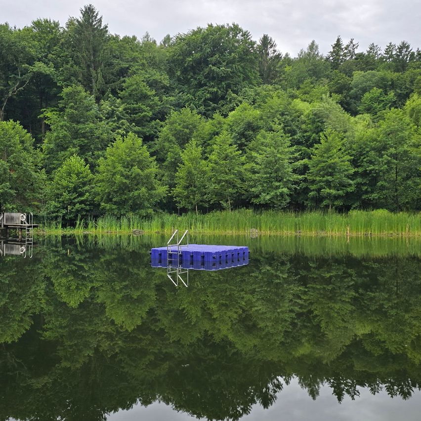 Ein blauer schwimmender Steg in einem ruhigen See, umgeben von üppigem Grün, mit Spiegelungen auf dem Wasser.