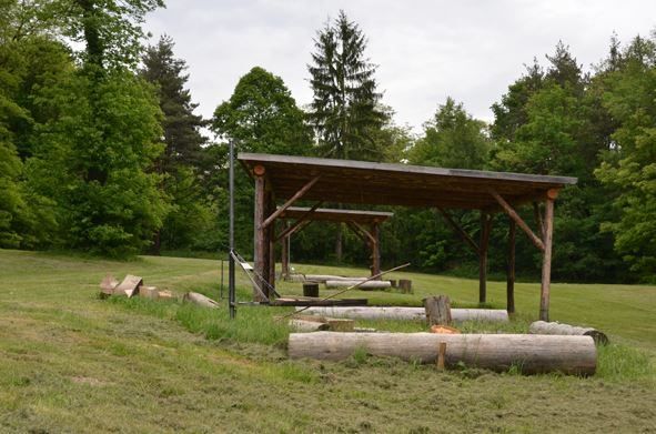 Ein Holzschuppen steht in einem Grasfeld mit einigen Baumstämmen und Bäumen im Hintergrund.