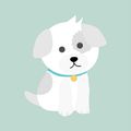 dog-3431913_1280
