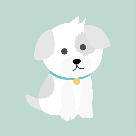 dog-3431913_1280