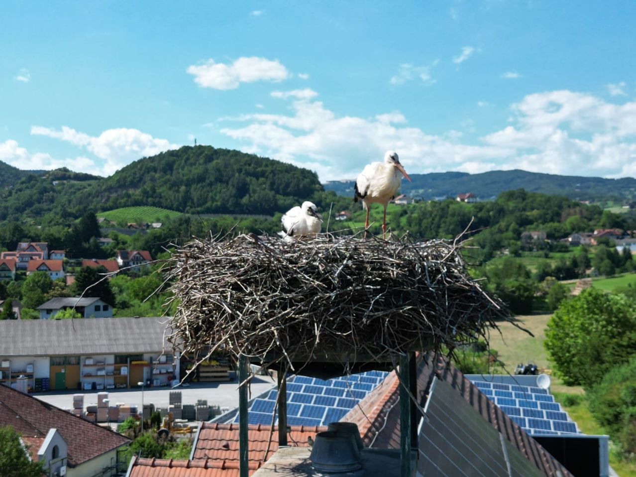 Zwei Störche sitzen in einem Nest auf dem Dach eines Gebäudes, mit Solarpanelen darunter. Im Hintergrund befinden sich Berge und Häuser.