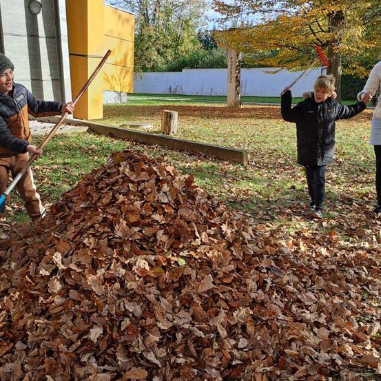 41c739db-22c6-4e9c-8c95-d1122270bf7f