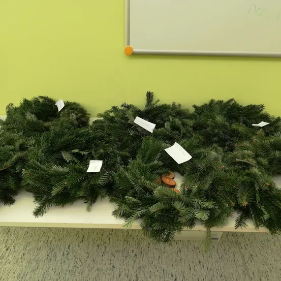 IMG_20231122_104333