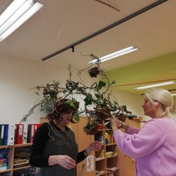 Bild enthält, Potted Plant, Adult, Female, Person, Woman, Shelf, Book, Library, Ring, Flower Arrangement