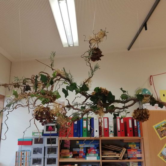 Bild enthält, Potted Plant, Flower, Flower Arrangement, Furniture, Interior Design, Ikebana, Bookcase, Wood, Box, Living Room